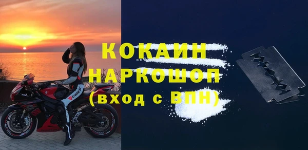 спайс Богданович