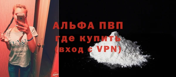 спайс Богданович