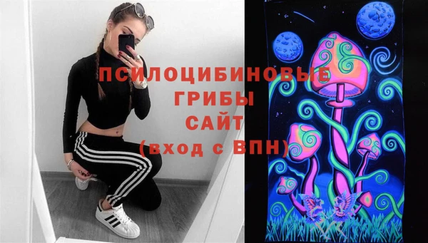 2c-b Богородицк