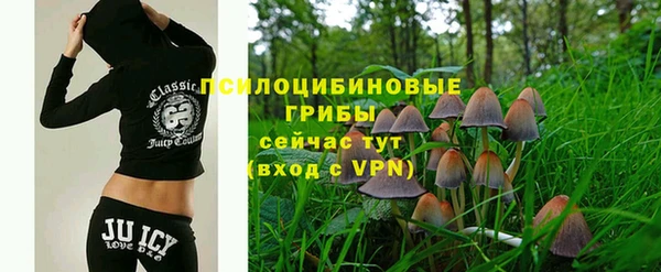 спайс Богданович