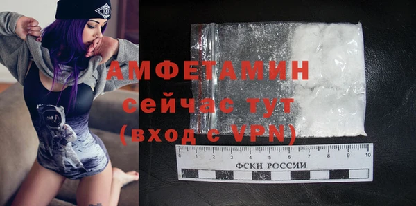 спайс Богданович