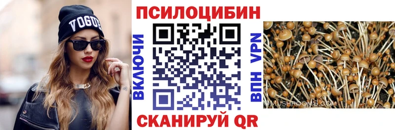 Купить закладки  Мамадыш  Галлюциногенные грибы GOLDEN TEACHER 